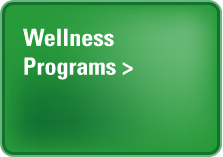 Wellness Programs link button